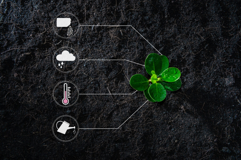 Vista cenital de un brote con gráficos que representan los valores nutricionales que la hacen crecer