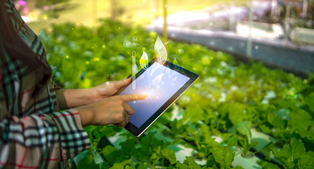 agricultor controla parametros de riego digitalmente con una tablet