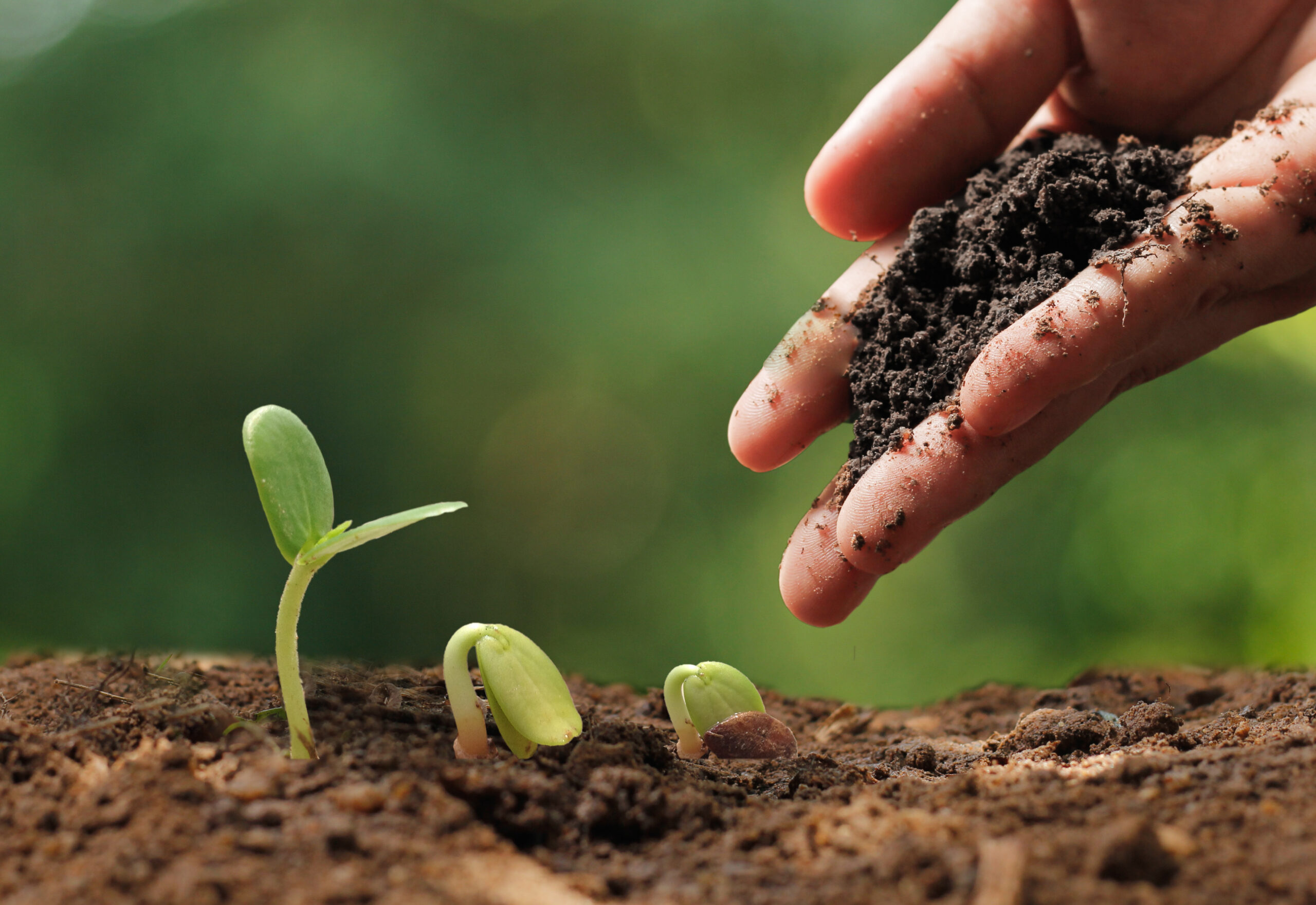La agricultura inteligente
