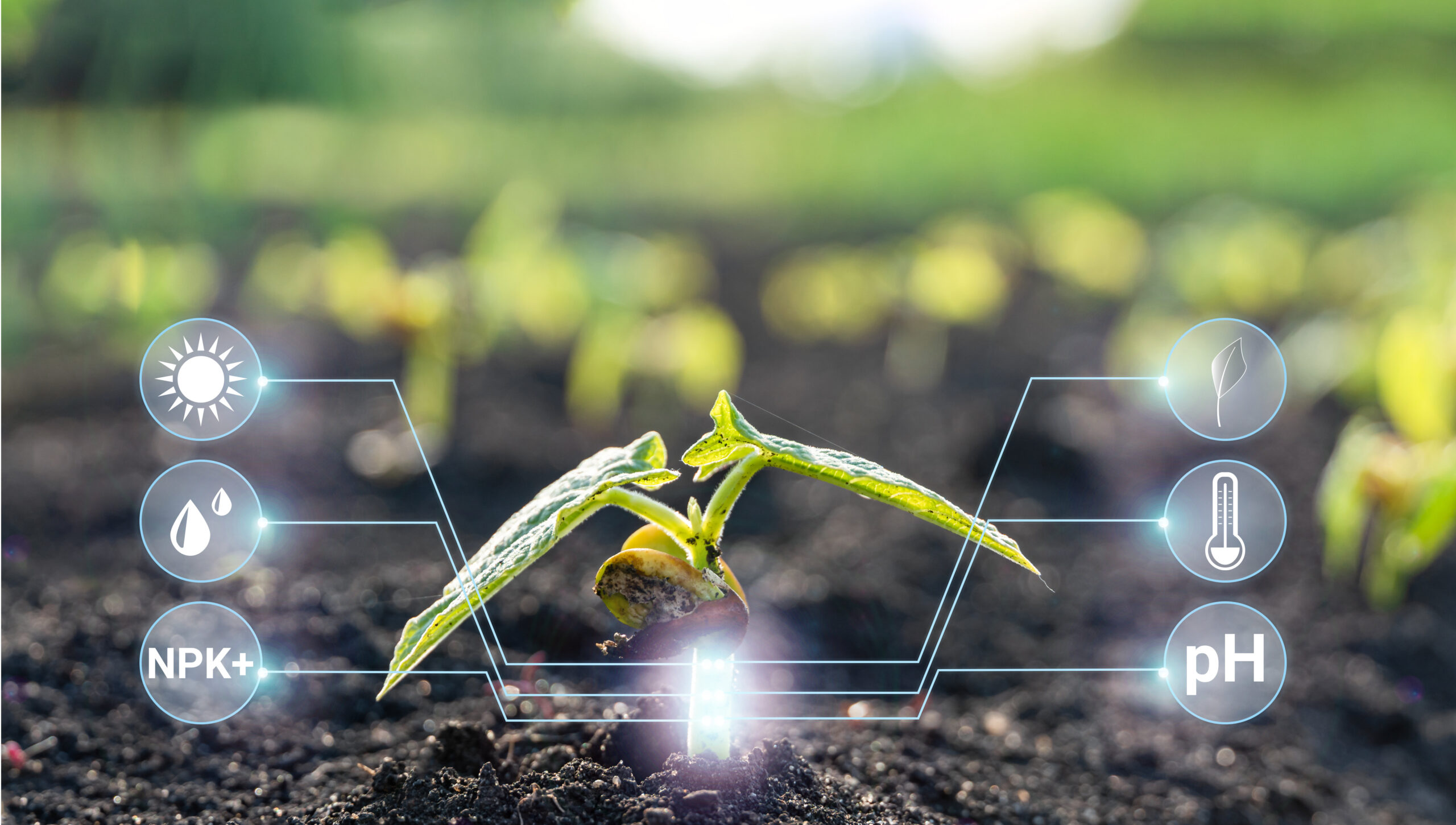 Sensores basados en IoT