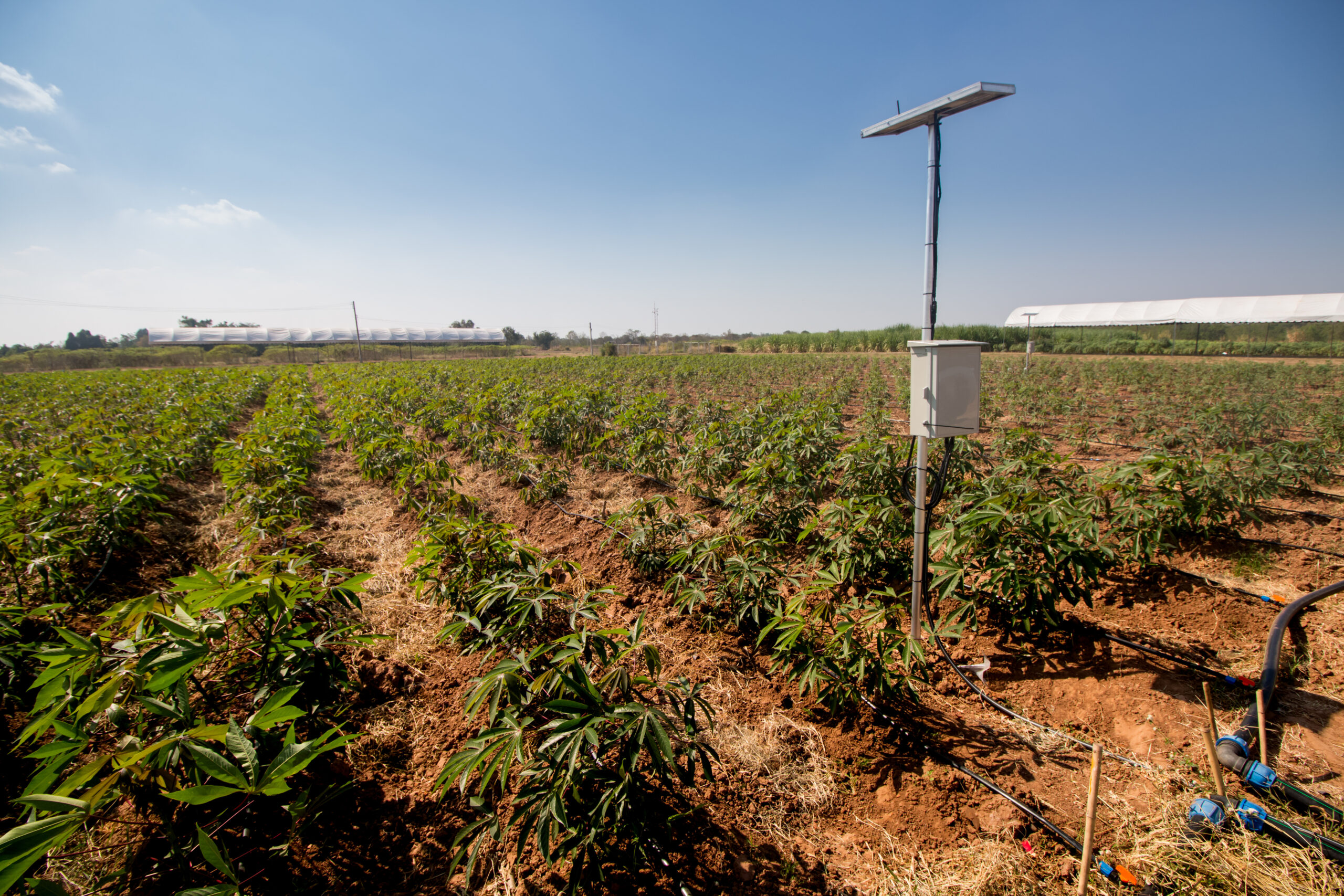 Energía renovable en riego agrícola: ahorro, sostenibilidad y mayor eficiencia