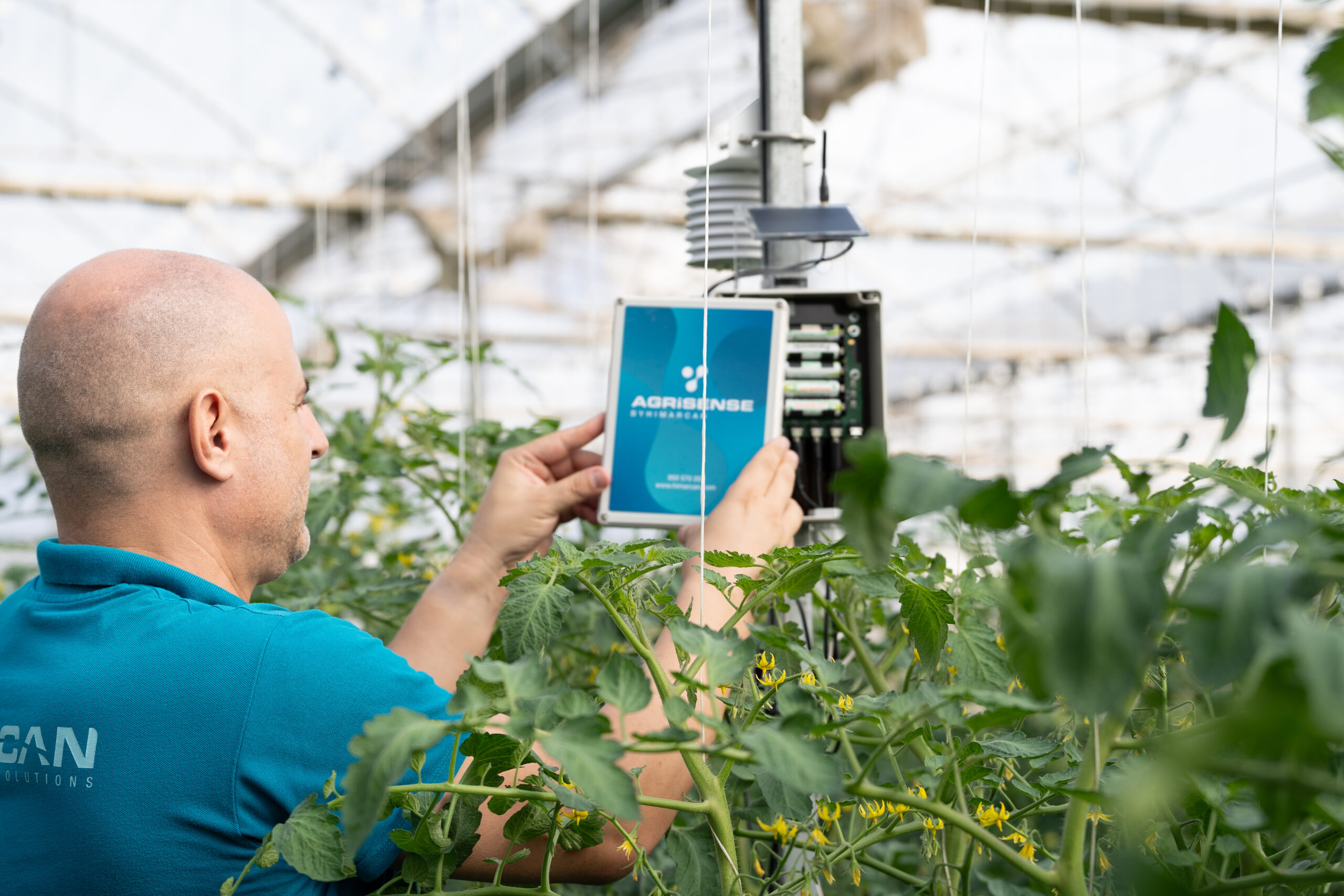 Agricultura de precisión en invernaderos: Cómo funciona y qué beneficios aporta