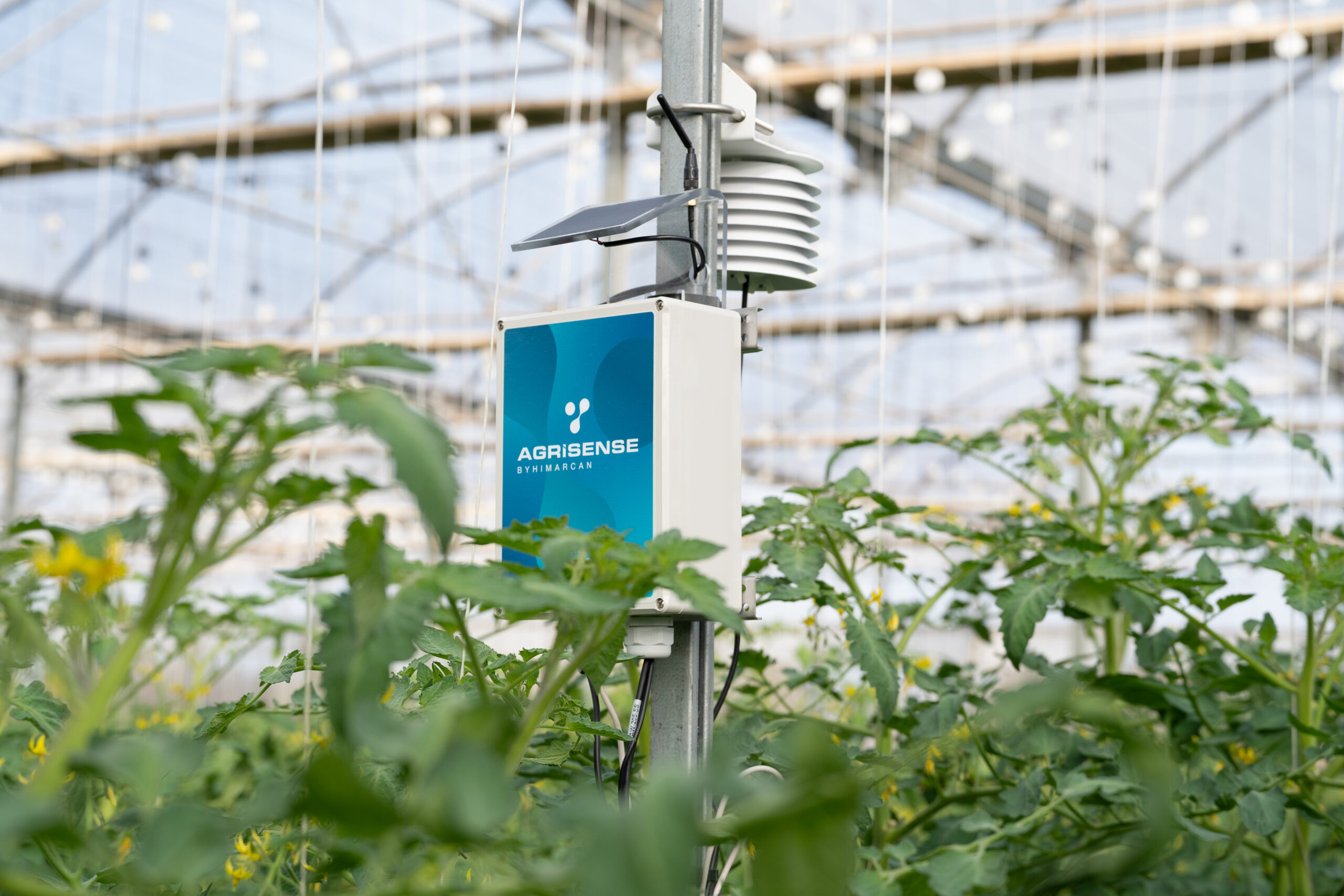 Cómo interpretar los datos de un sensor de humedad para optimizar el riego agrícola
