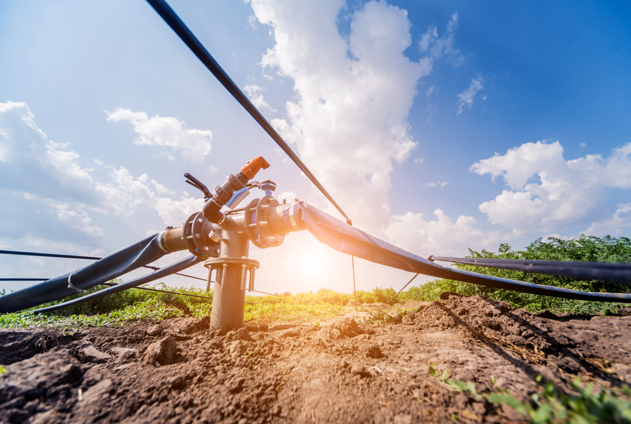 Suelo Vivo: Fertirriego, Clima y Sensores para un Suelo Sano