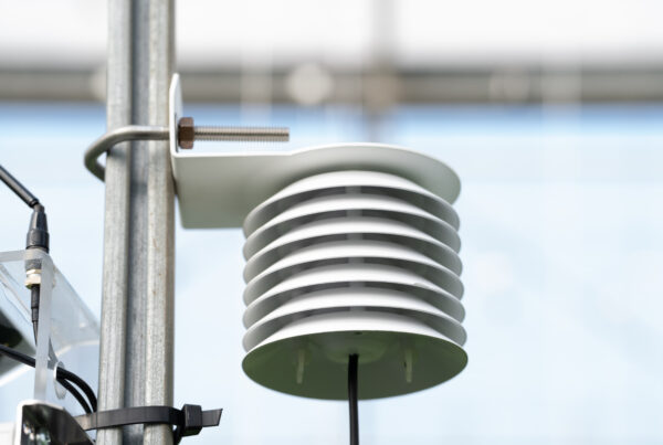 Sensor de temperatura y humedad protegido por un escudo de radiación blanco, instalado en un poste metálico dentro de un invernadero.