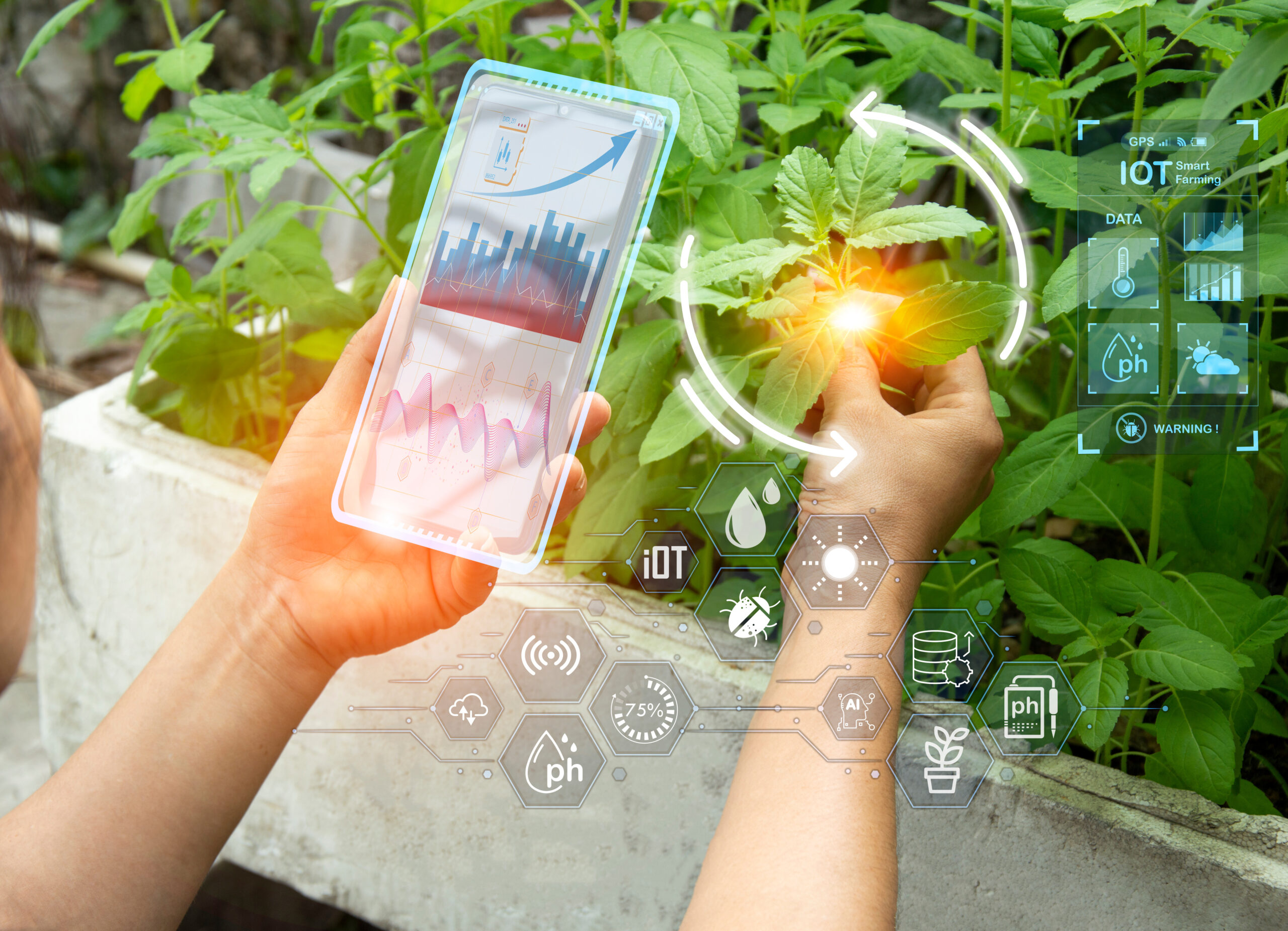 Gemelos digitales en agricultura: Qué son y cómo funcionan en la gestión de fincas